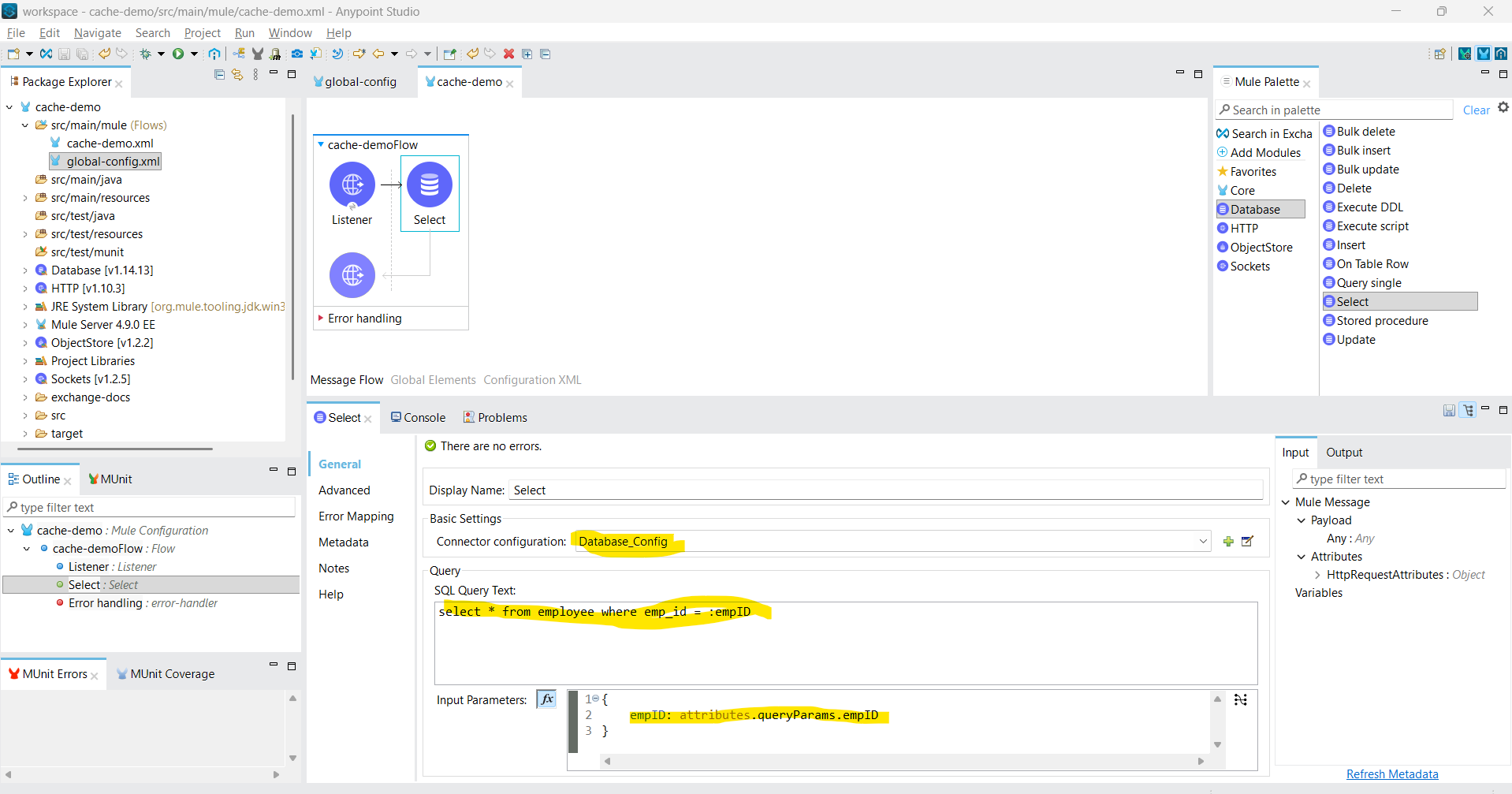 Database select in Mule