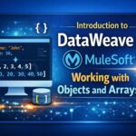 Introduction to DataWeave in MuleSoft: Working with Objects and Arrays